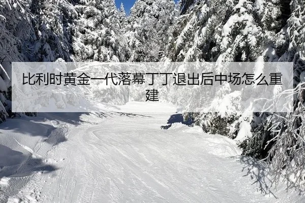 比利时黄金一代落幕丁丁退出后中场怎么重建