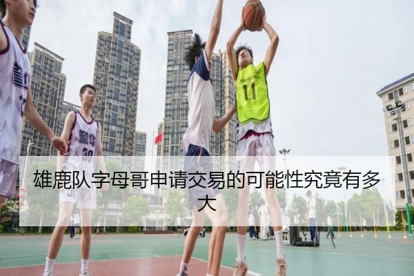 xiong-lu-dui-zi-mu-ge-shen-qing-jiao-yi-de-ke-neng-xing-jiu-jing-you-duo-da-2-322.jpg